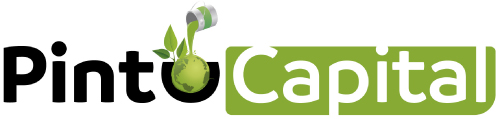 Pintucapital